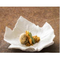 Блюдо"LEAF""BOTANIQUE" 17,5см 16,5см"PORDAMSA"